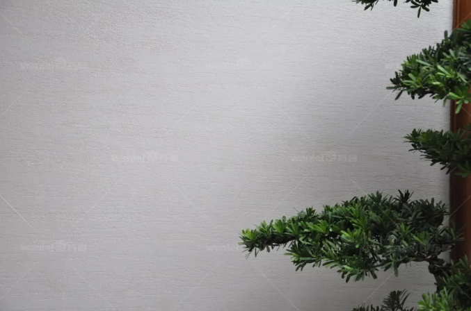 【官宣】廣州中山紀念堂，已用上萬磊國家專利產品